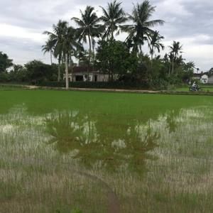 Meet your Posher, Nấm